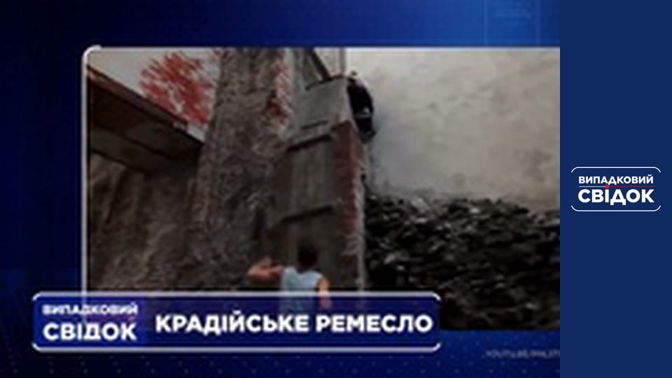 Випадковий свідок, Випуск 220