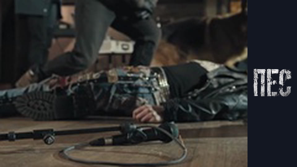 Пес, Сезон 6, Серія 19