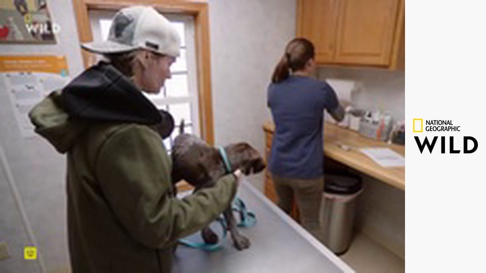 Невероятный доктор Пол S24E2