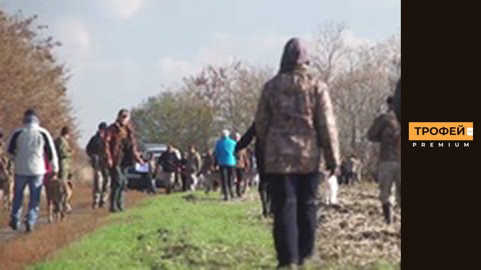 Мисливські собаки. Серiя 5