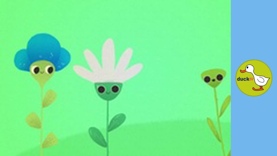 Nature Dudes - Flowers and Bees