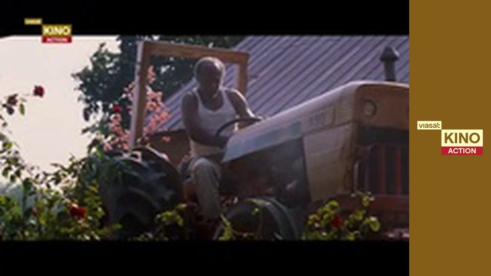 Стогін чорної змії