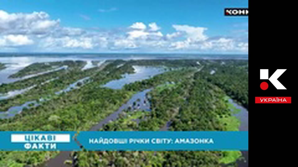 Интересные факты.