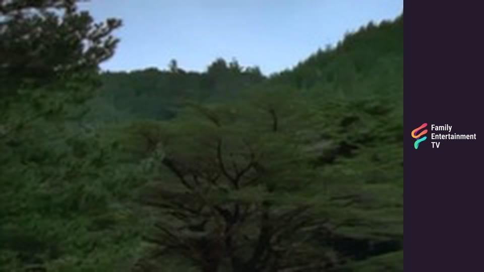 The Secret of Killimoon Episode 2