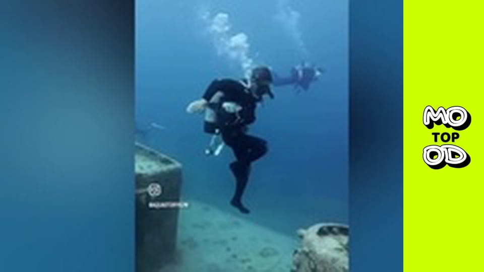 TopMood Сезон 2 Епізод 133