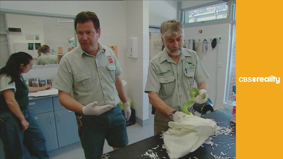 Securitatea graniţei: Australia S5E1