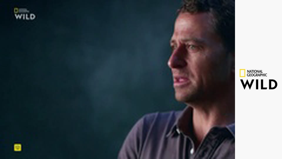 Кто-то меня укусил S1E2