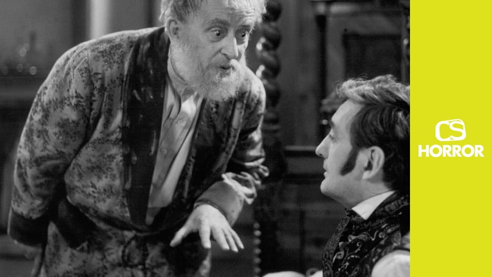 Příběh se starou lenoškou