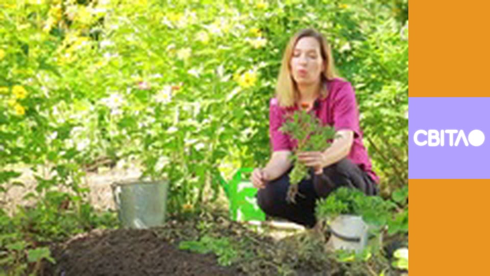 Т/с "Скорая", 14 с.