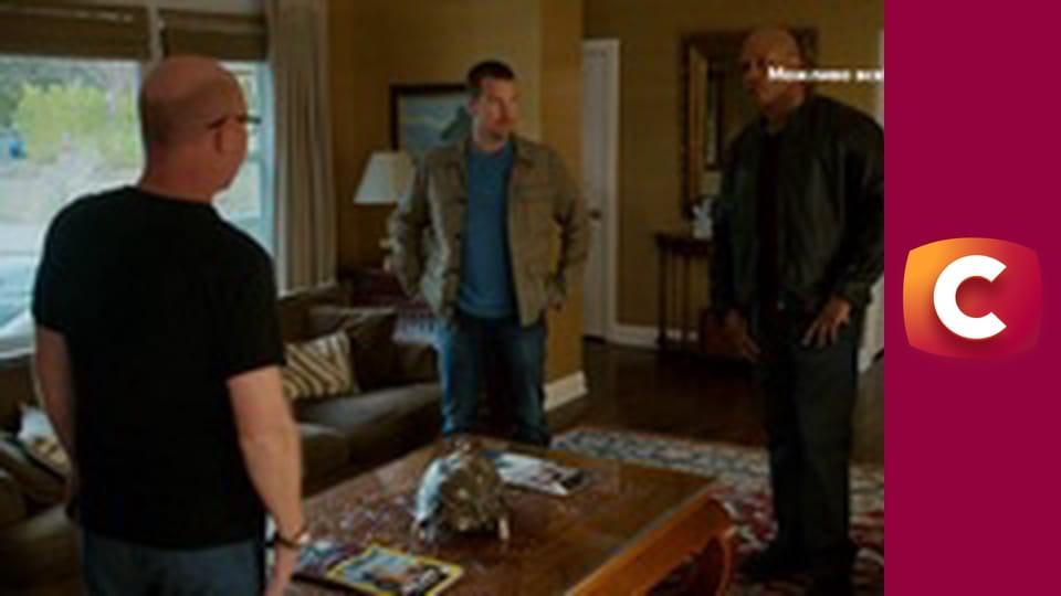 Т/с "Морська поліція: Лос Анджелес", 6 сезон, 19 с.