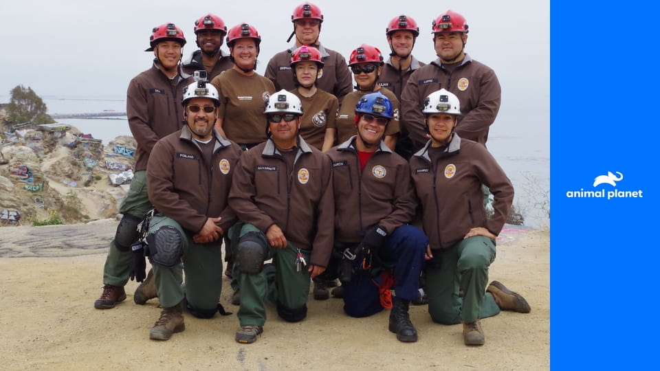 Служба спасения животных: Лос-Анджелес