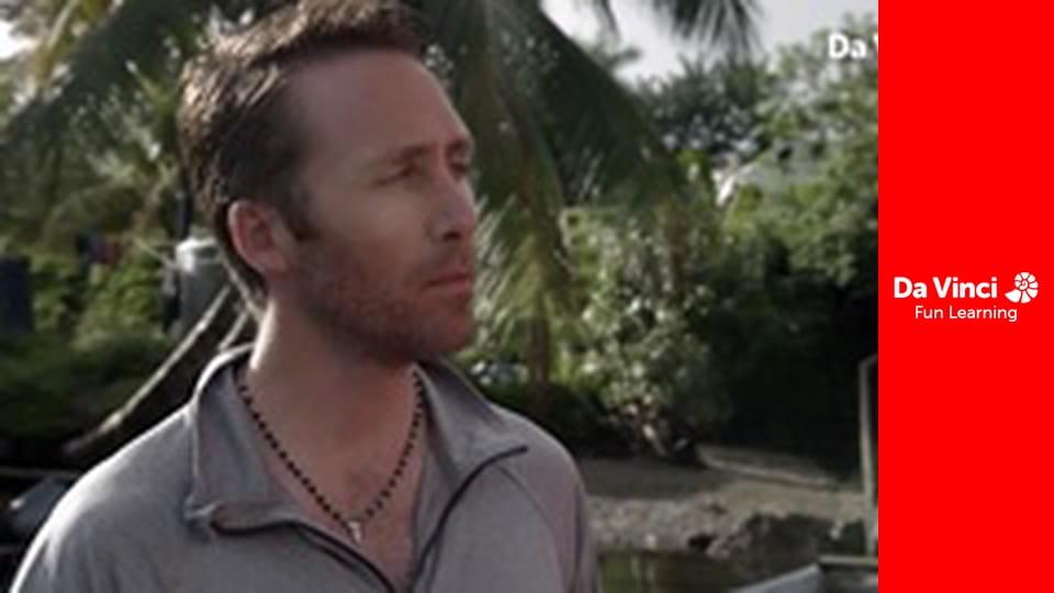 Дослідження: «Дивовижна планета» - Дива матінки-природи