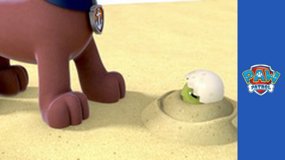 Paw Patrol Season 1 Episode 2