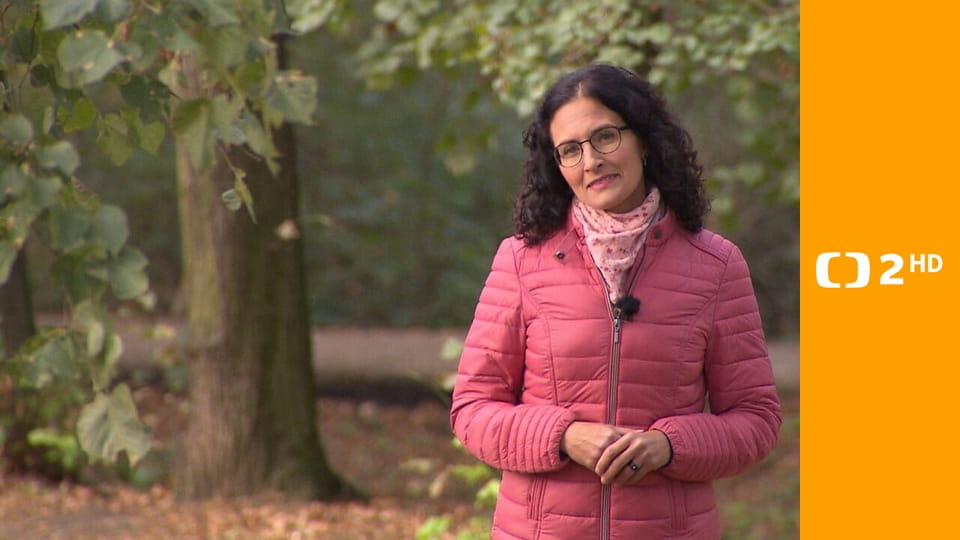 Křesťanský magazín - Poutní místa Svatého roku 2025