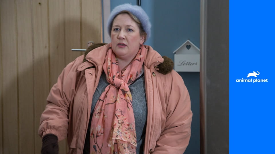 Вторжение S1E6 - Взлом и проникновение