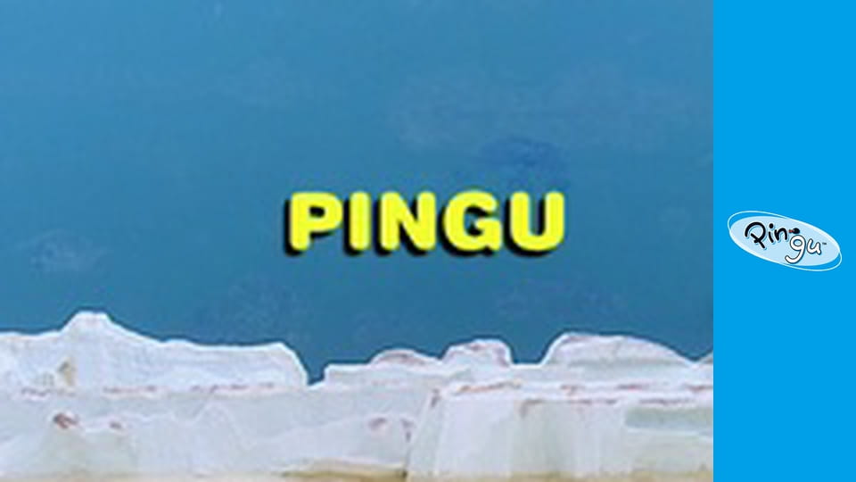 Pingu at the Wedding Party