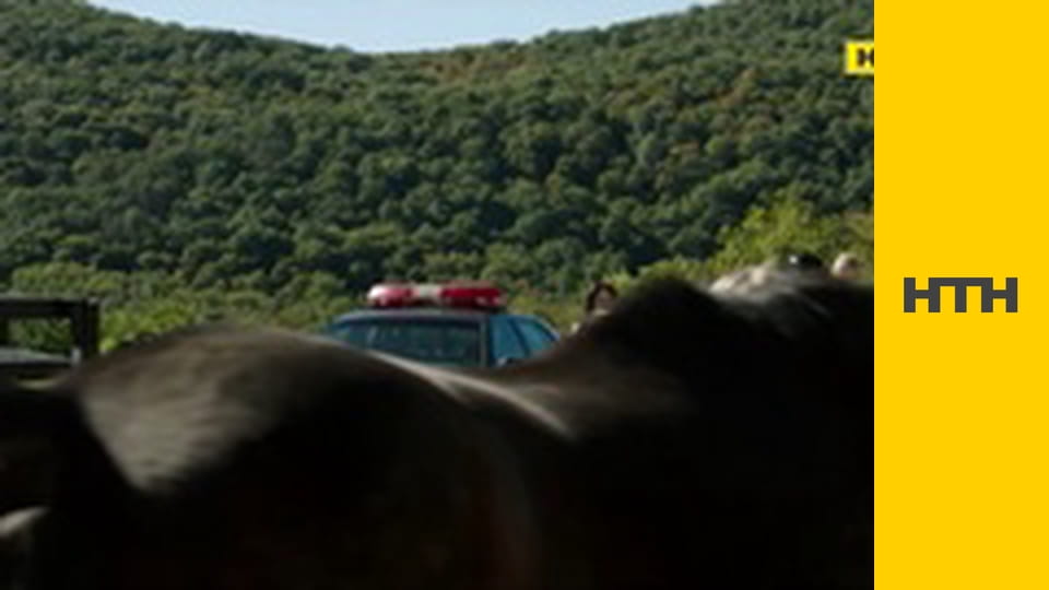 Т/с "Елементарно", 2 сезон.