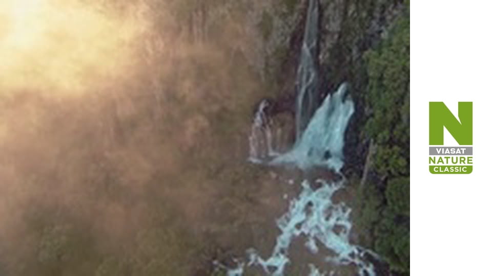 Дика Нова Зеландія Сезон 1 Епізод 2