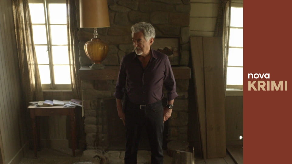 Myšlenky zločince S3E17