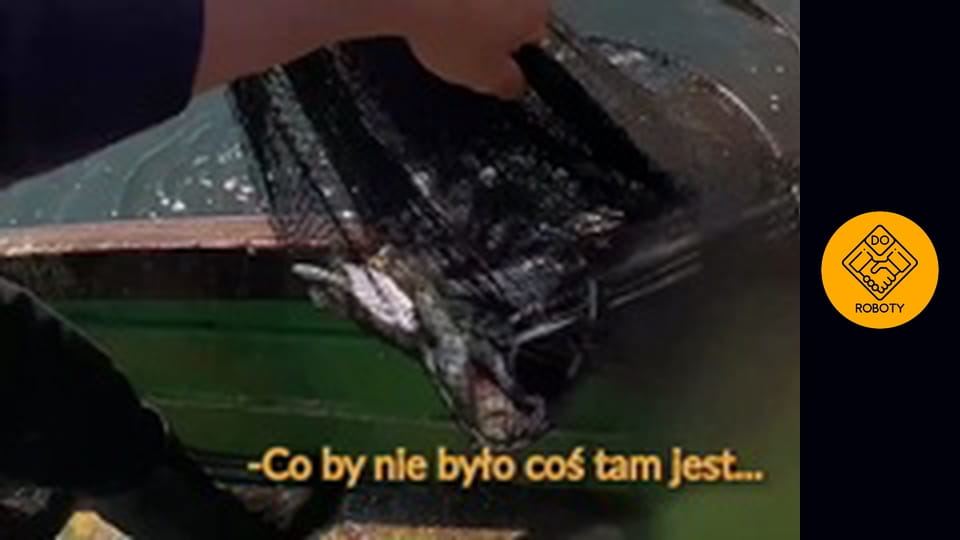 Wędkarze ich nienawidzą - jak wygląda praca rybaka?