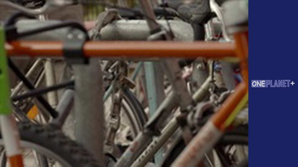 В поисках знаний. - cерия 9