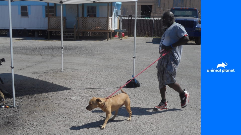 Pitbulli a prepustení trestanci S10E17 - Pre seniorov