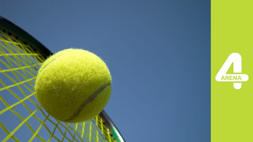 Tenisz: ATP Tour This Week