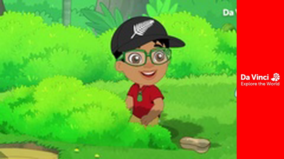 Дарвін і Ньютс - Порожня пташина ванна