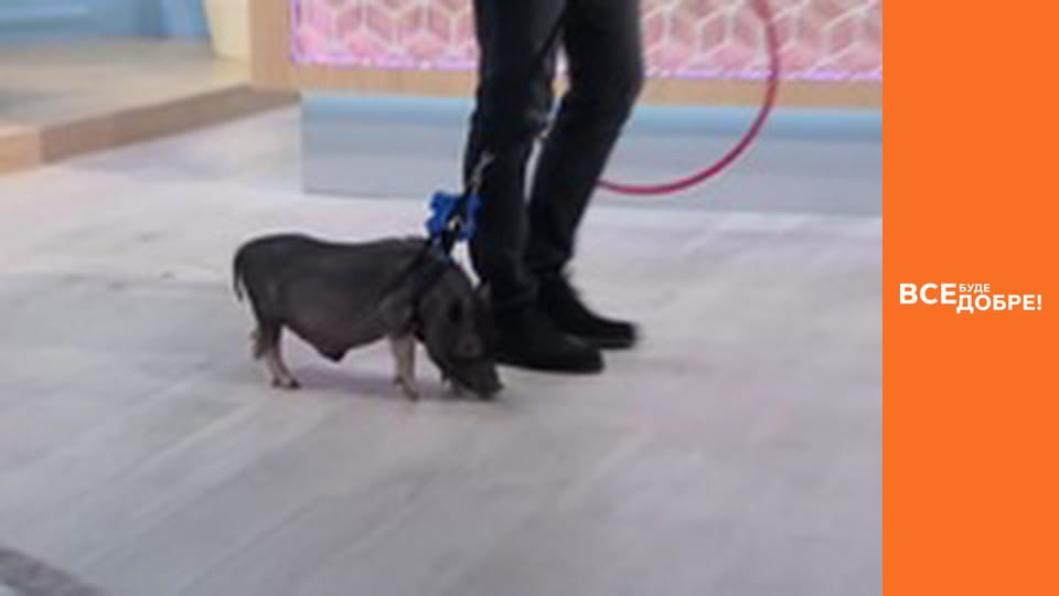 Сезон 3, Выпуск 20, часть 2