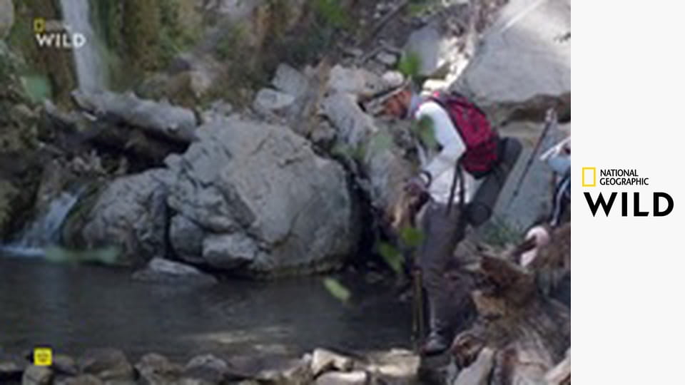 Кто-то меня укусил S1E7