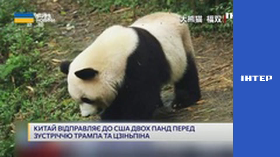 "Єдині новини". Телемарафон.