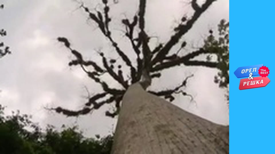 100 долларов, Выпуск 7