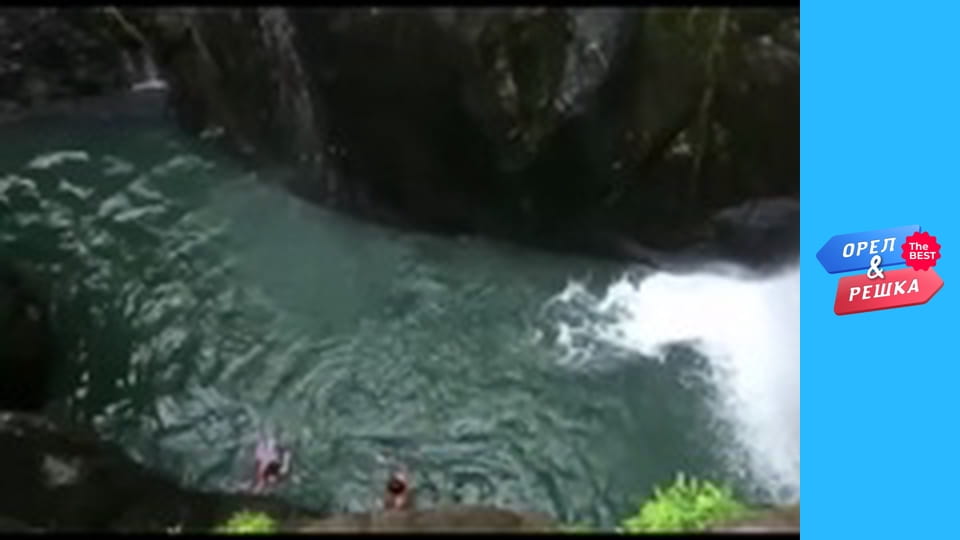 Золота карта, Випуск 32