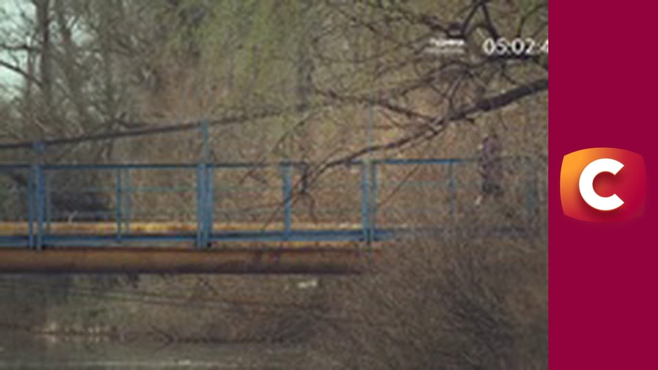 "Сліпа". Материньска любов.