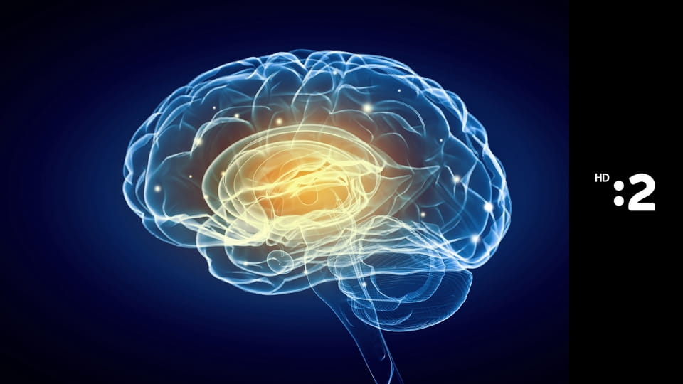 Záhady mozgu E9 - Hypnóza – čo sa deje v mozgu?