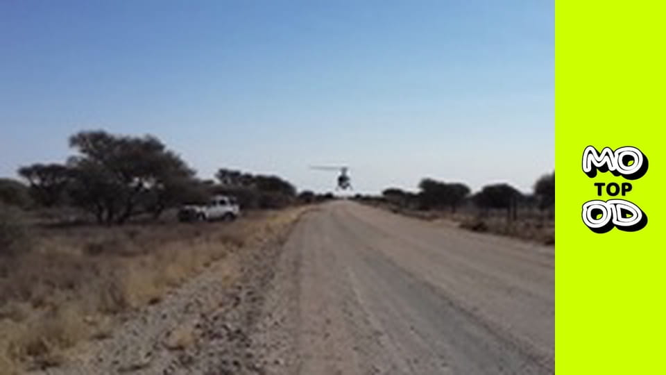 TopMood Сезон 2 Епізод 114