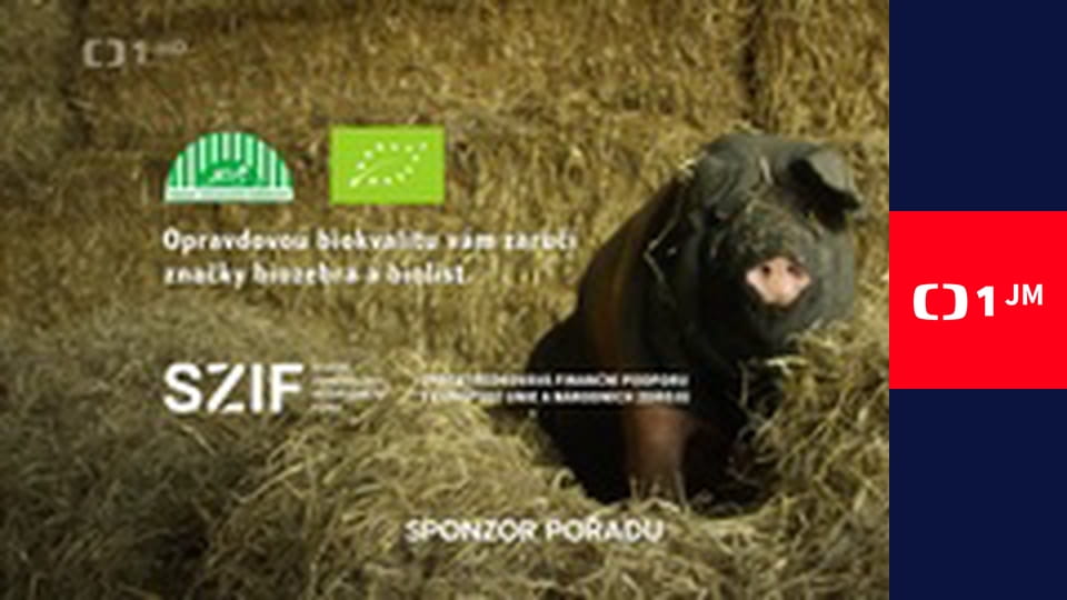 Každý den se rodí život - Květen