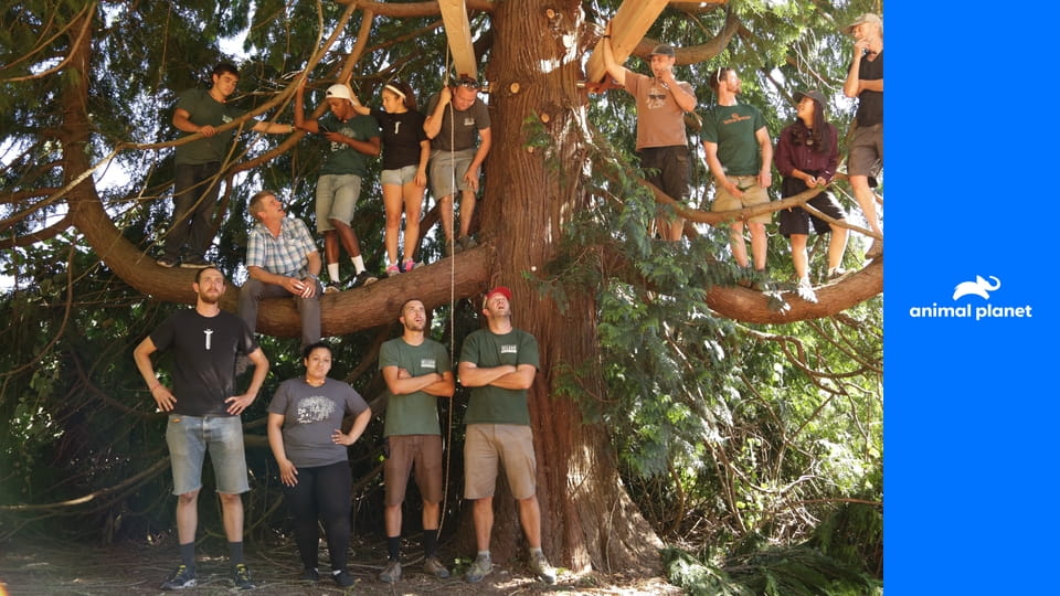 Odborníci na domy v korunách stromov S3E1 - Javor na meditáciu