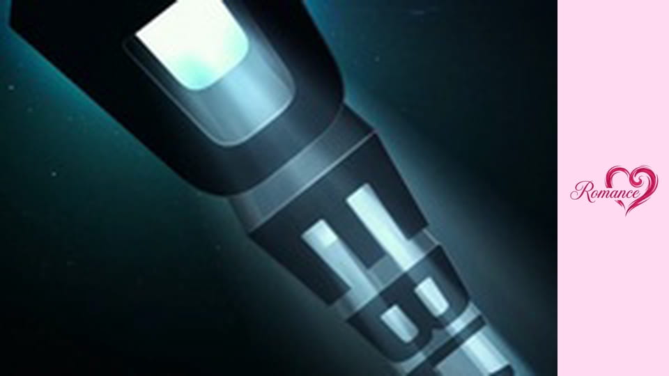 PERFECT MATCH, THE (Romance SK)