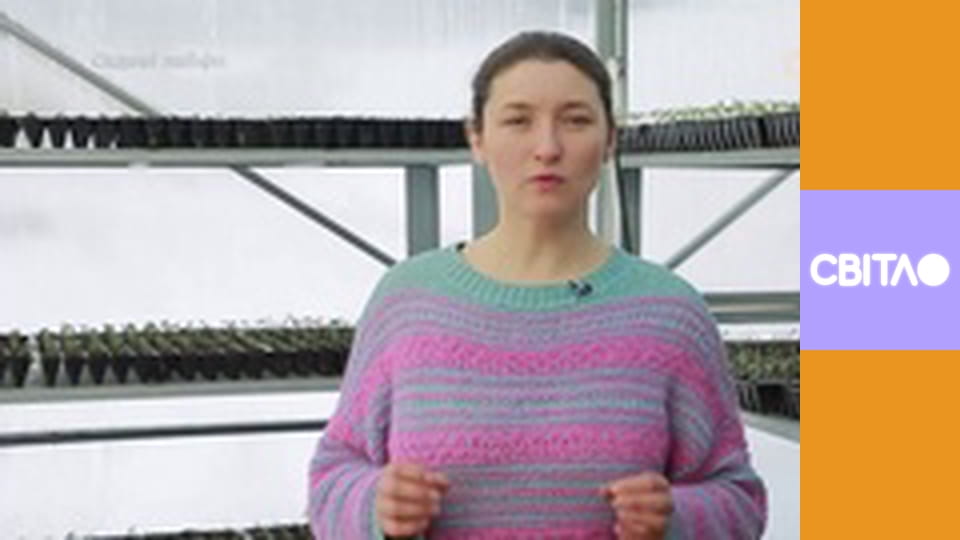 Не сиди, посади.