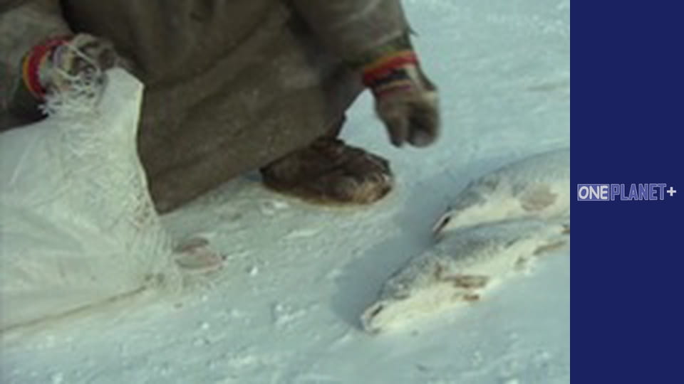 Залізничні Історіі - cерия 4