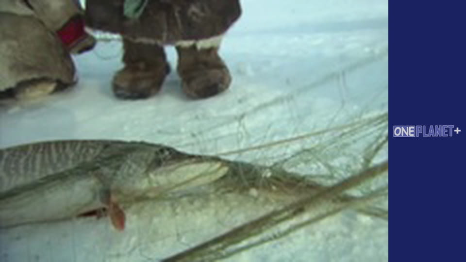 Залізничні Історіі - cерия 4