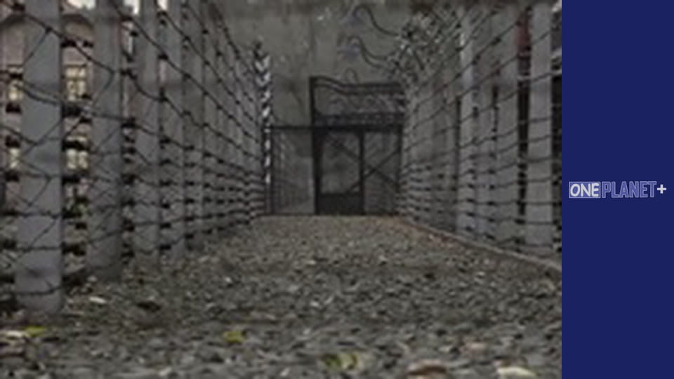 Секретно. Вторая Мировая. - cерия 9