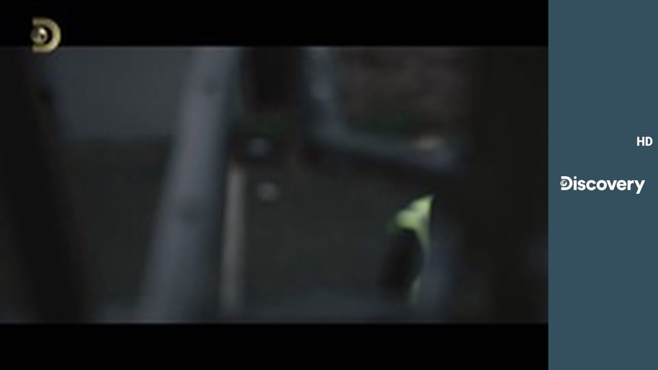 Ограбление Лувра по минутам - Ограбление Лувра: Минута за минутой