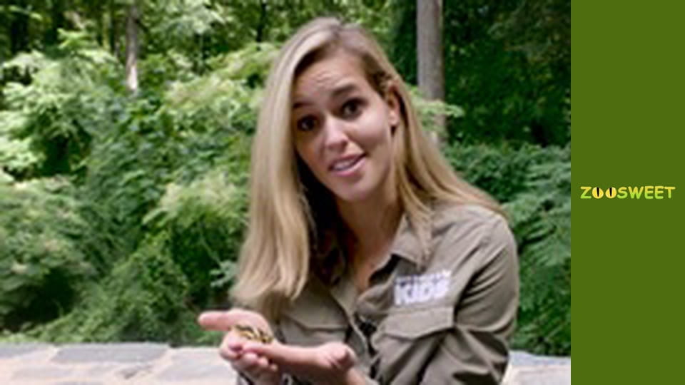 Прогулянки Дикою природою Сан-Дієго - серія 18