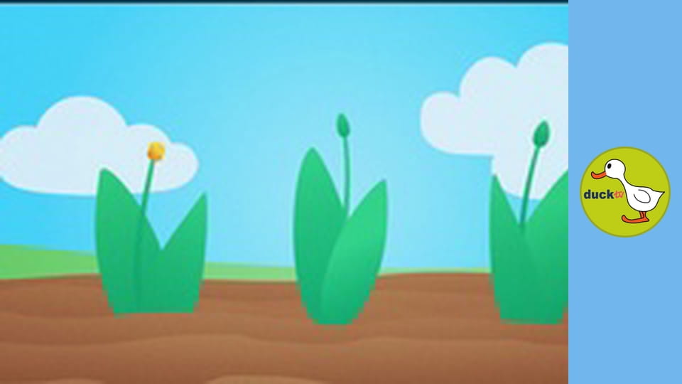 Happy Garden - Tulip