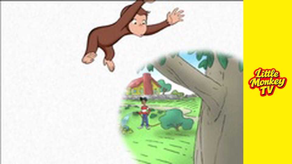 Curious George Sees Stars