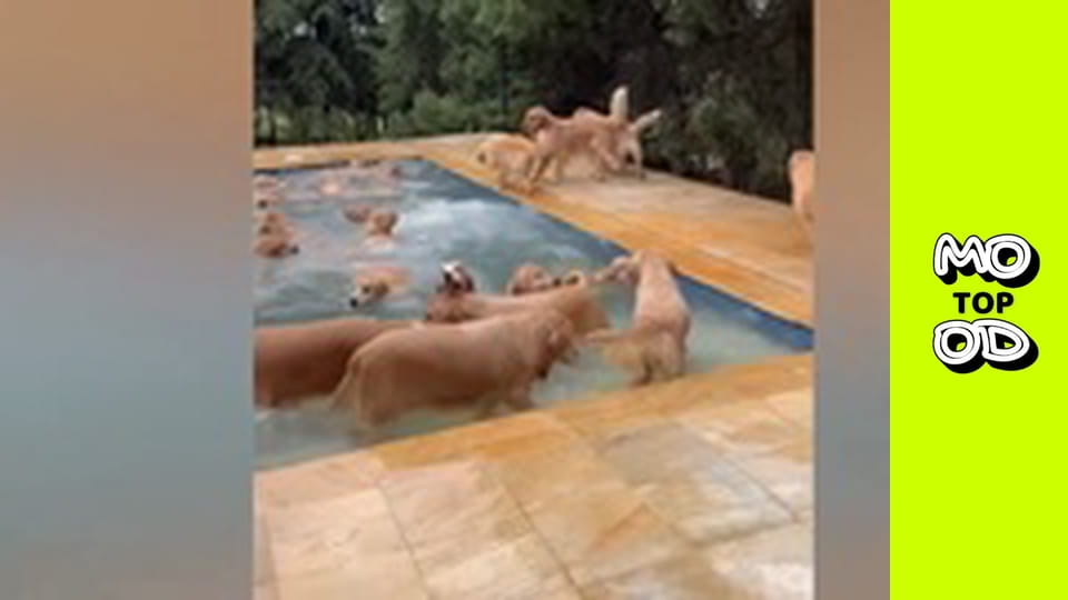 TopMood - Episode 86