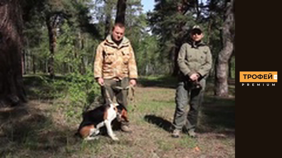 Мисливські собаки. Серiя 57