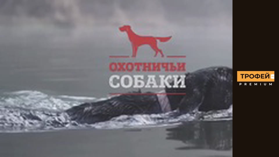 Охотничьи собаки. Серия 58